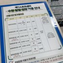 신북체육문화센터 다목적경기장 | [일기] 영등포 제1스포츠센터 주말 자유수영(ft.올 여름 자유수영)