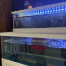 신당역 5번 출구, 신당파출소 | 성시경이 픽한 신당역 맛집, “간절곶 신당점” 에서 즐긴 방어회 후기 🍣