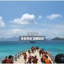 푸른바다 티스토리