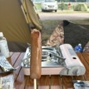 태진자원 | 과도한 락놀이 하다 진짜 다쳐버린 사람 저요..._25년 dmz 피스트레인 후기(2)