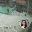 지리산약국 이미지