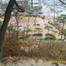달본 이미지