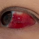 우안과의원 이미지