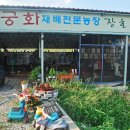 무궁화농원 이미지