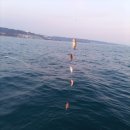 낚시만세 이미지