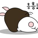 엘제이PT