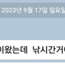 하판천 네이버블로그