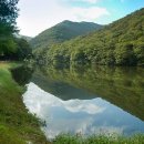 (주)브이아이피여행사