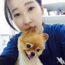 서공동물병원 이미지