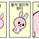 마이끄엉관