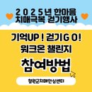 철원군 치매안심센터 | 철원군치매안심센터 2025년 한마음 치매극복 걷기행사 안내