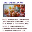 해나무한의원 이미지