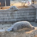 천록촬영