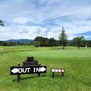 메이플라워 이미지