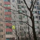 장금로 이미지
