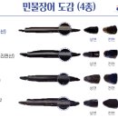 구화산민물장어