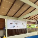 거북이세탁소 이미지