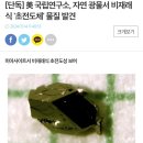 [단독] 美 국립연구소, 자연 광물서 비재래식 &#39;초전도체&#39; 물질 발견 이미지