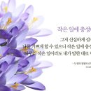 낮엔해처럼밤엔달처럼 이미지