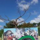 운악산주차장 화장실 이미지