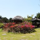 한국가사문학관 Daum카페