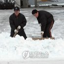 전주에 내린 올해 끝자락의 서설 이미지