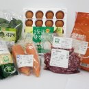 친환경 이미지