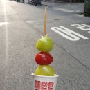 대전 둔산동 탕후루 : &#39;대단한 탕후루&#39; 내돈내산 후기