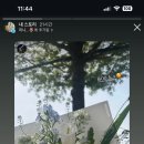 바이민s 이미지