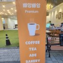 빠앙빠앙 장기동 카페 라베니체 주차 구래동 미숫가루