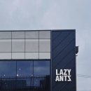 레이지앤츠 | 영주카페 | 예술작품과 커피향으로 가득한 레이지앤츠 (lazyants)