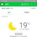 피플앤독느티캠핑장 이미지