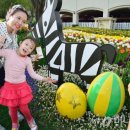 무료영화상영(이웃집 토토로) 이미지