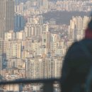 강남-057 이미지