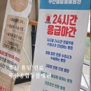 24시폴동물병원 | 부산 진구 24시 동물병원 | 부산종합동물병원 고양이 휴일 진료 솔직 후기