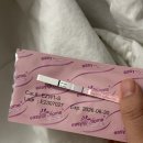 B24-2 | B24. 배란유도제 브레트라 | 브레트라 부작용 | 브레트라 복용 후기