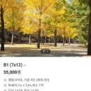 미산가족오토캠핑장 | 여행 | 문경 | 단풍, 할로윈 캠핑 가쟈 - 미산가족오토캠핑장 🍁🎃