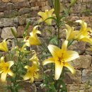 룸비니유치원 이미지