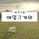 매일그개와 - 양천구 신정중앙로 88 | 매일그개와