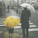 늘솜한의원 이미지