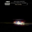 WRC) 막스 베르스타펜 강심장 추월ㄷㄷ.gif 이미지