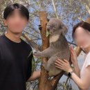 은하수투어