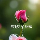 100세의료기