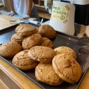 태백산맥길 | 보성군 벌교 모리씨 빵가게 - 천연발효 빵집 / 전국 빵지순례