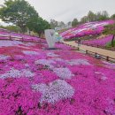 산청 생초국제조각공원**꽃잔디축제** (23.04.18) 이미지