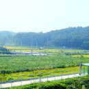 용지로-1 이미지