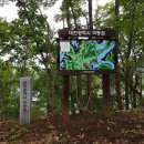 독골하천 이미지