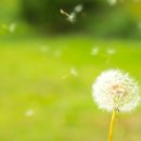 아이웰소아청소년과의원 이미지