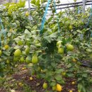 동부농업기술센터 이미지