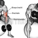 바디앤마인드 피트니스 이미지